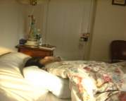 zsleep.jpg (3706 bytes)